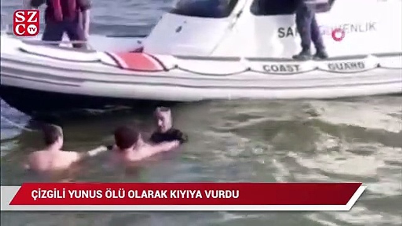 Çizgili Yunus ölü olarak kıyıya vurdu