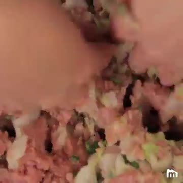 Gyoza (Ravioli Chinois à la Japonaise)