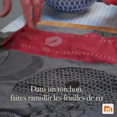 Véritables rouleaux de printemps au poulet