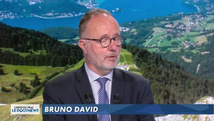 Est-on à l'aube de la sixième extinction de masse ?