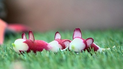 Pique-nique des enfants : nos idées pratiques et ludiques