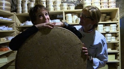 Le comté au lait d'été... conté par une pro !