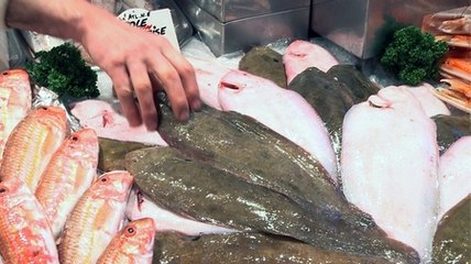 La sole : poisson à prendre VITE dans vos filets !