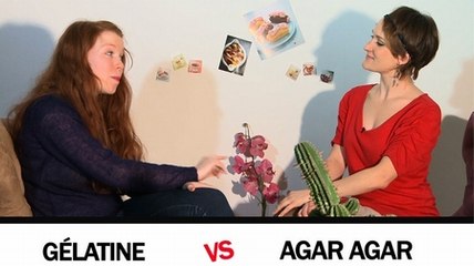 L' agar agar face à la gélatine : le match !