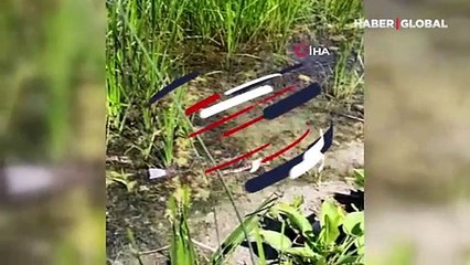 Konya'da göl kıyısında yaşanan balık kavgası kamerada