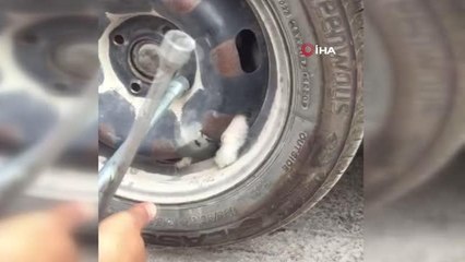 Sıkışan yavru kedi, tekerlek sökülerek kurtarıldı