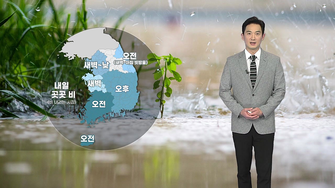 [날씨] 내일 하늘 흐리고 곳곳 비...더위 주춤 / YTN