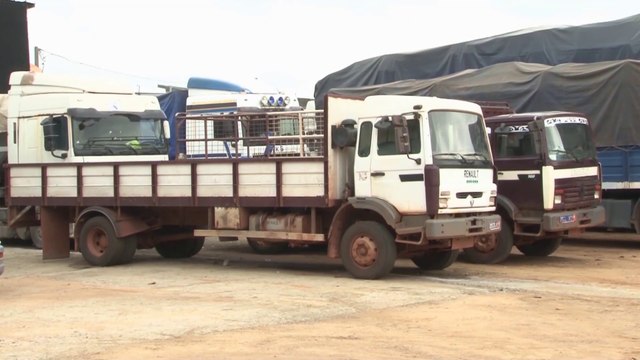Douanes ivoiriennes: saisie de 1,2 tonnes de cannabis et de 30 tonnes de sucre