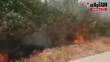 بلاغ عن حريق أشجار على المغرب السريع
