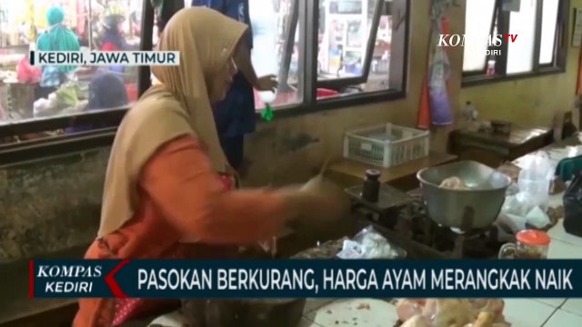 Pasokan Berkurang, Harga Daging Ayam Melambung Tinggi