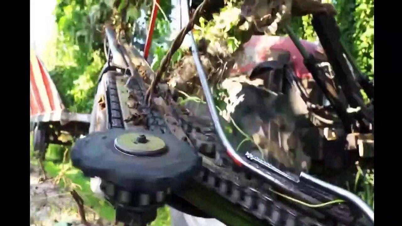 How Beer Is Made From Hops - Hops Cultivation and Harvest - Hops Processing Factory