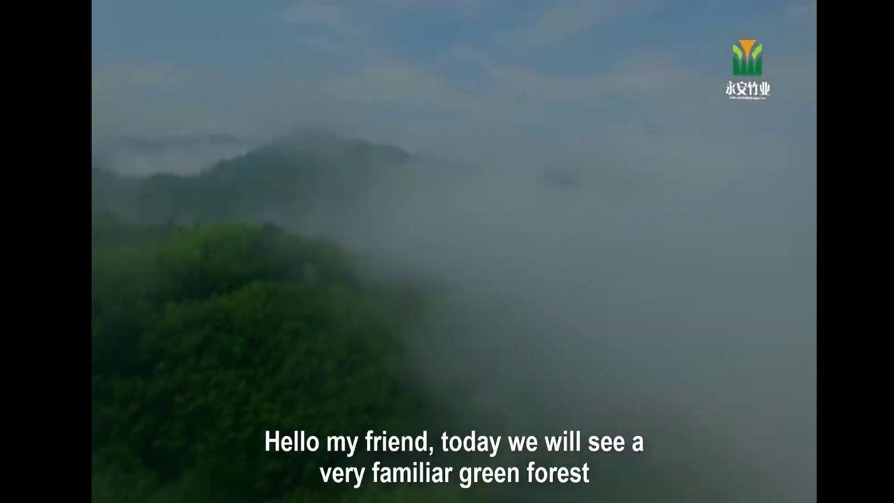 Amazing Bamboo Farming Techniques - Bamboo Product Processing in Factory - Bamboo Harvest Machine