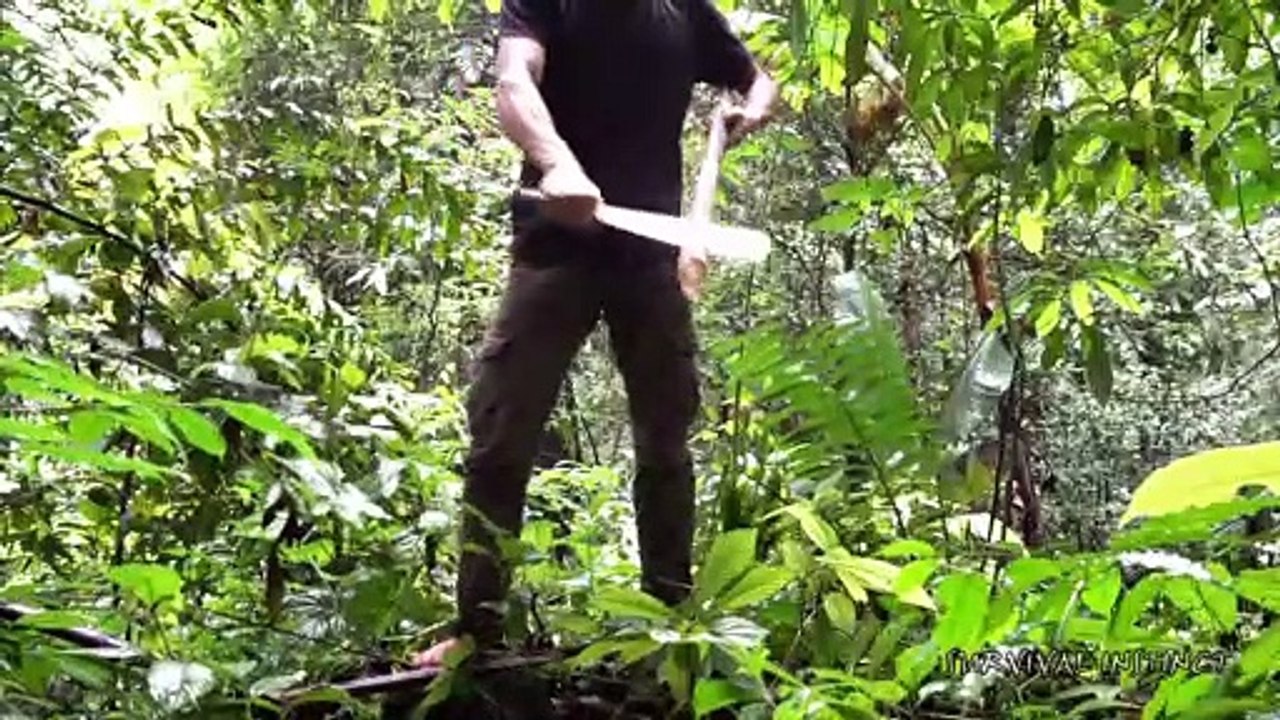 Unpredictable Threats from the wild, Survival in the tropical rainforest, ep 7