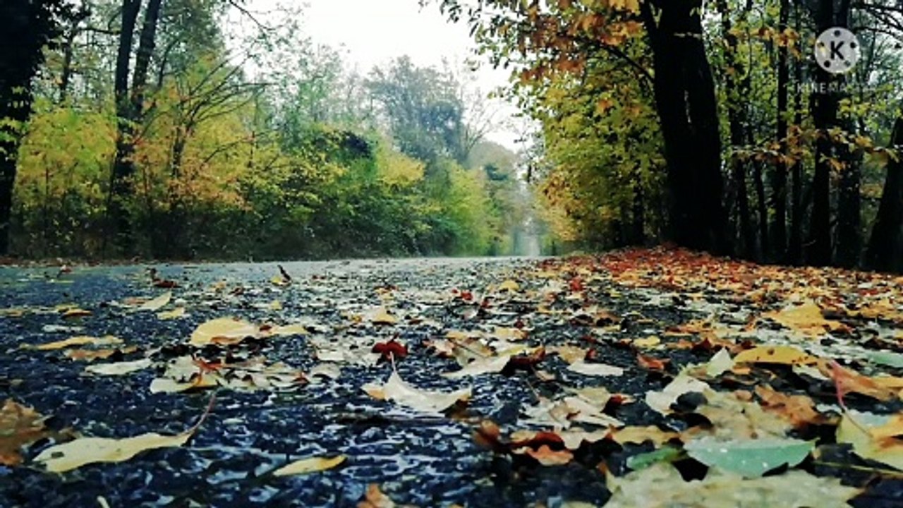 Natural rain sound