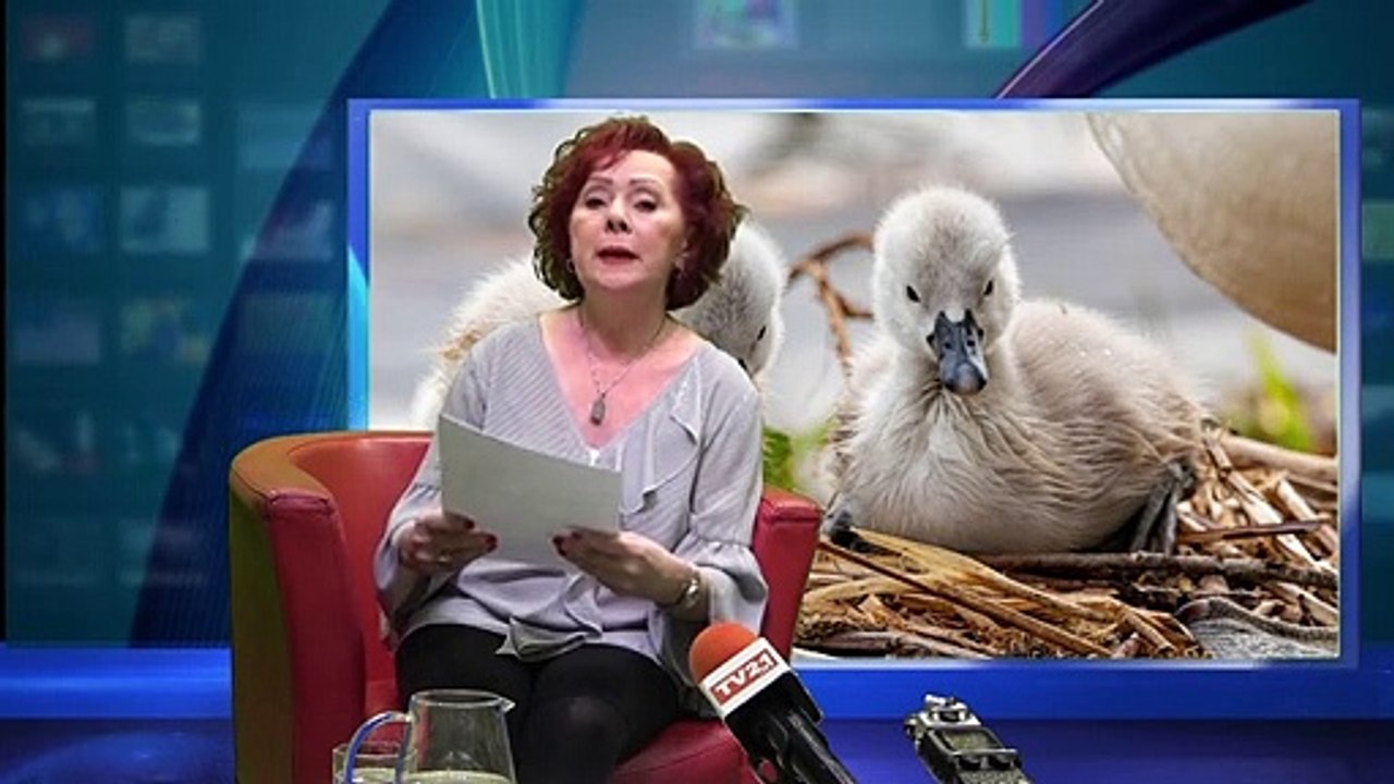 Dagmar Truxa Sachen zum Lachen Folge  32