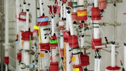 Vacina da Novavax tem mais de 90% de eficácia