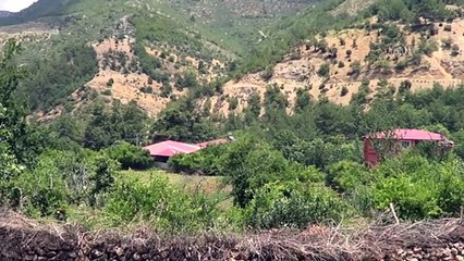 GAZİANTEP - Ev hanımı devlet desteğiyle ipek böceği yetiştiricisi oldu