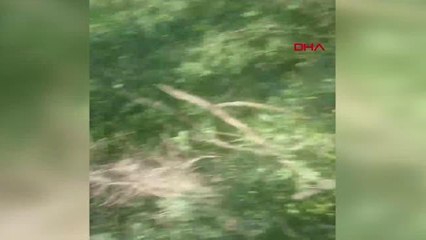 AĞAÇTA ASILI KALAN İNEK İTFAİYE EKİPLERİNCE KURTARILDI