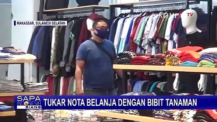 Belanja 100 Ribu Rupiah di Phinisi Point Mal Bisa Bawa Pulang Bibit Pohon