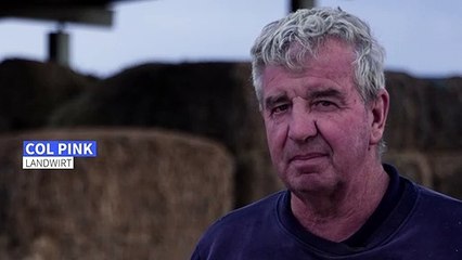 Mäuseplage macht Landwirten in Australien zu schaffen