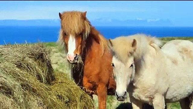 Iceland Instrumental music. Icelandic ambient music, Icelandic background music, Icelandic folk.
