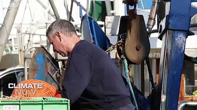 Le réchauffement des océans : un défi pour les poissons et les hommes