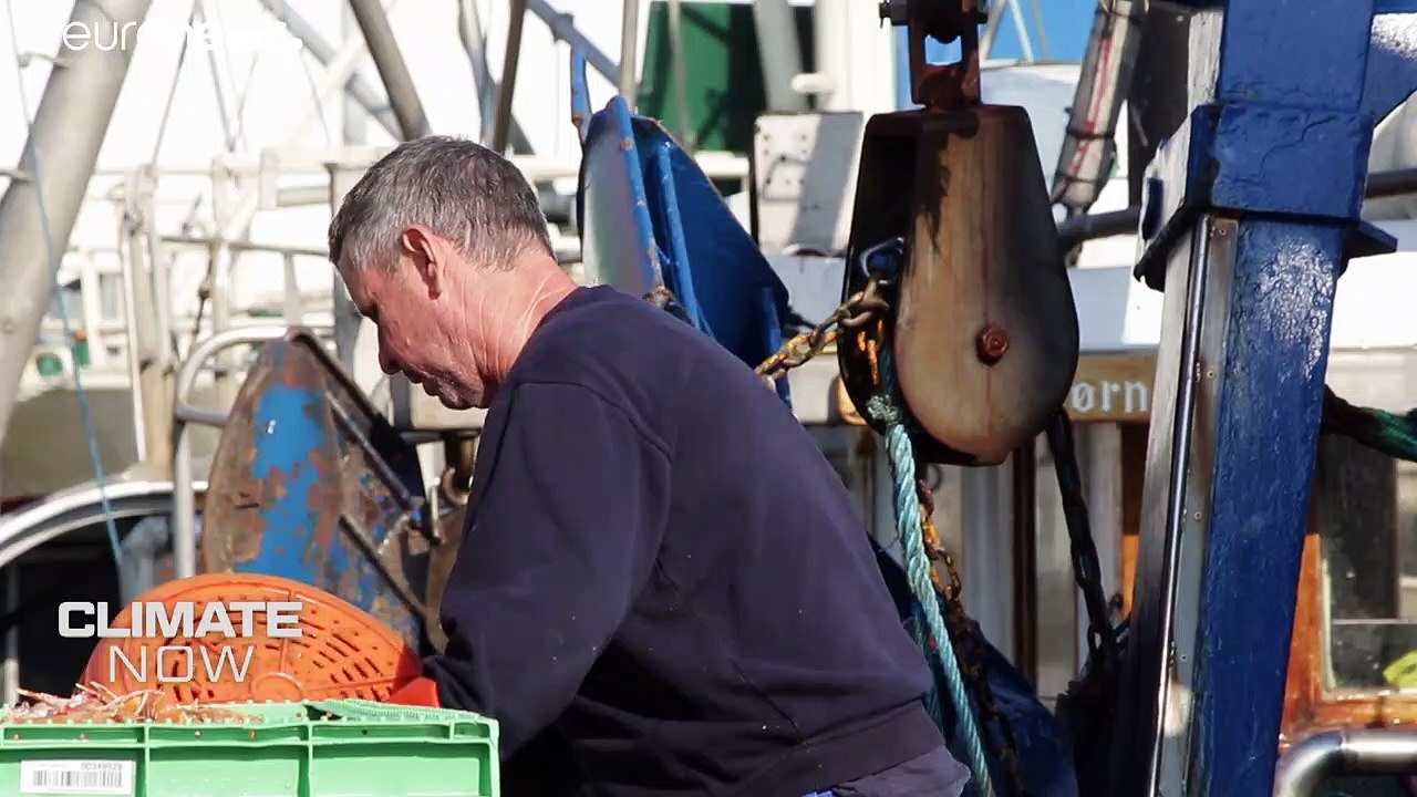 Η κλιματική αλλαγή επηρεάζει τους παγκόσμιους πληθυσμούς ψαριών - Ο καιρός τον Μάιο