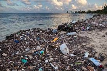 Los desechos de la comida rápida están llenando rápidamente el océano de plástico
