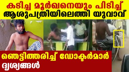 Man from ballari walks into hospital with cobra that bites him