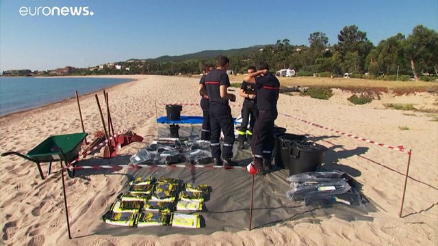 Pollution maritime en Corse : des nappes d'hydrocarbures à la dérive menacent la côte Est