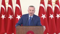 BRÜKSEL - Cumhurbaşkanı Erdoğan, Brüksel Forumu 'İstikrara Katkı' oturumunda konuştu