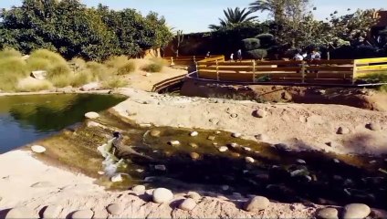 Ville d'Agadir Crocoparc مدينة أكادير