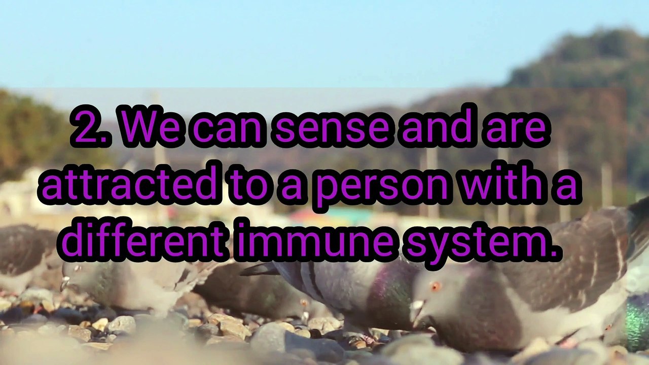 Interesting Facts About Love You Probably Don’t Know, According to Science