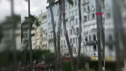 ANTALYA MAHSUR KALDIĞI AĞAÇTAN DÜŞEN YAVRU KEDİYİ, VATANDAŞLARIN AÇTIĞI BEZ KURTARDI