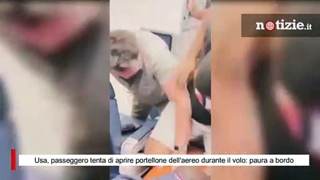 Usa, passeggero tenta di aprire portellone dell'aereo durante il volo: paura a bordo
