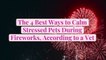 The 4 Best Ways to Calm Stressed Pets During Fireworks, According to a Vet