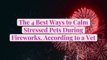 The 4 Best Ways to Calm Stressed Pets During Fireworks, According to a Vet