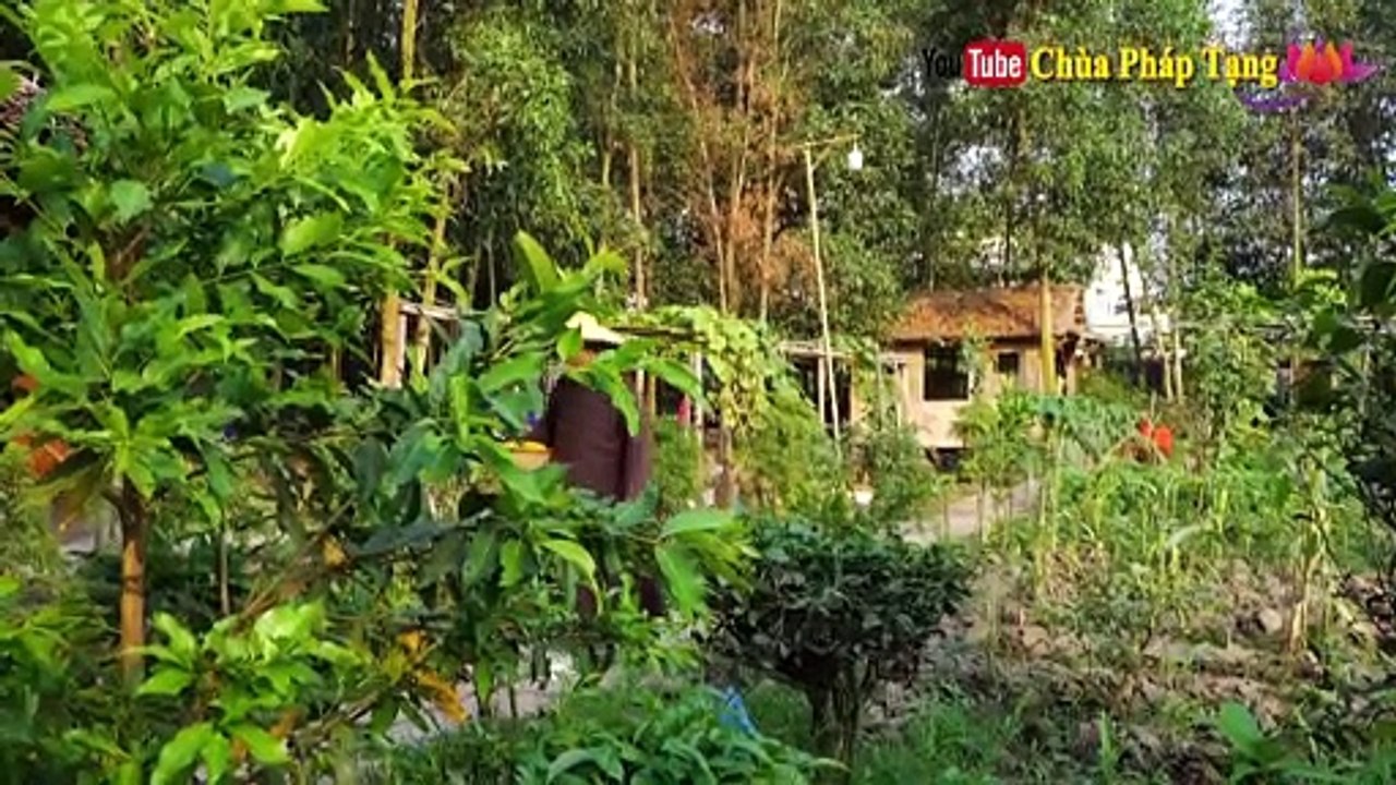 Chống Đột Quỵ, Ngừa Bệnh Tật Khó Trị - 7 Lần Mỗi Buổi Sáng Là Vàng Cho Sức Khỏe. Chùa Pháp Tạng