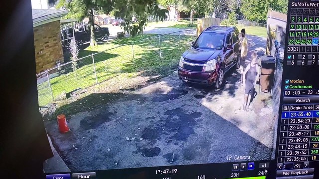 Quick Thinking Boy Dodges an Old Falling Tree