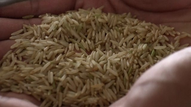 «Une bombe atomique» : pourquoi la guerre du riz basmati fait rage entre l’Inde et le Pakistan