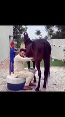 funvideos.DelhiBombay_O delhi bombay ale paani vich dhakk dyage-(MP4)