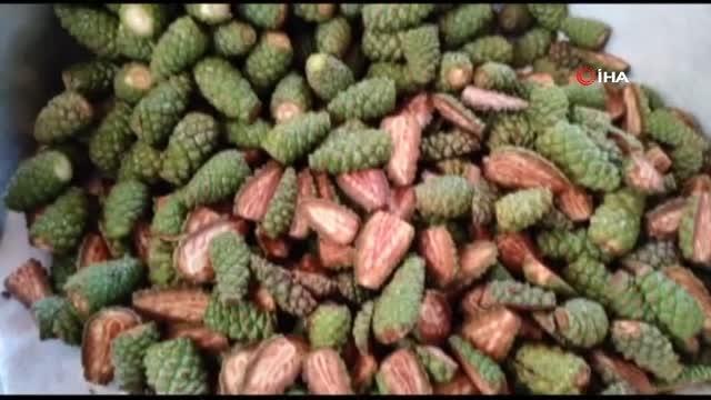 Çam ağaçlarından toplanıp kaynatılıyor, kilogramı 100 TL'den satılıyor- Her derde şifa bağışıklık deposu çam kozalağı pekmezi- 8 saat odun ateşinde...