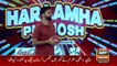 Live Show Main Tanvir Ahmed Par Hamla,Waseem Badami Nai Bacha Lia