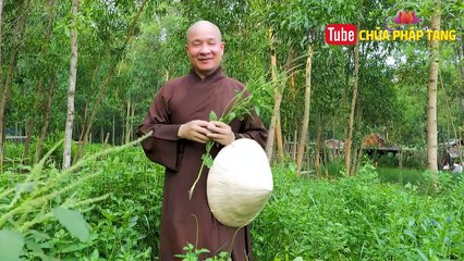 Trị Hở Van Tim 1-2-3 Lá, Thiếu Máu Cơ Tim, Lo Lắng Sợ Hãi, Bất An, Mạch Vành. Chùa Pháp Tạng