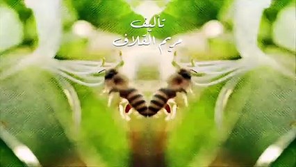 مسلسل نبض مؤقت الحلقة 9 التاسعة