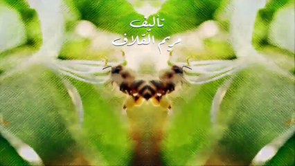 مسلسل نبض مؤقت الحلقة 11 الحادية عشر