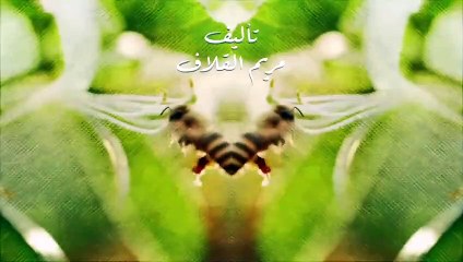 مسلسل نبض مؤقت الحلقة 13 الثالثة عشر