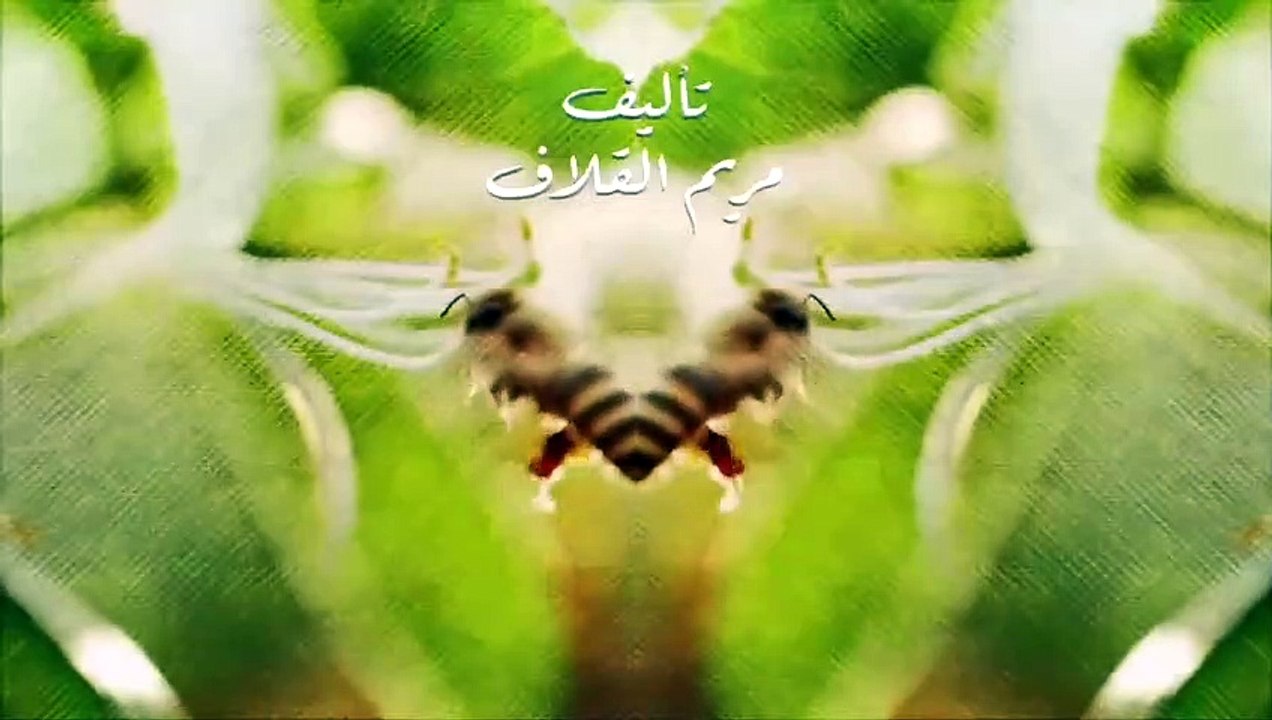 مسلسل نبض مؤقت الحلقة 13 الثالثة عشر