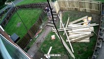 Guy Tearing Down Fence Takes a Tumble