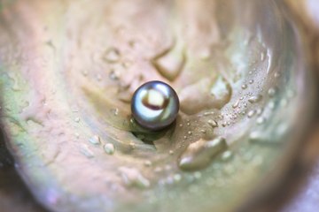 Cómo se forman las perlas.